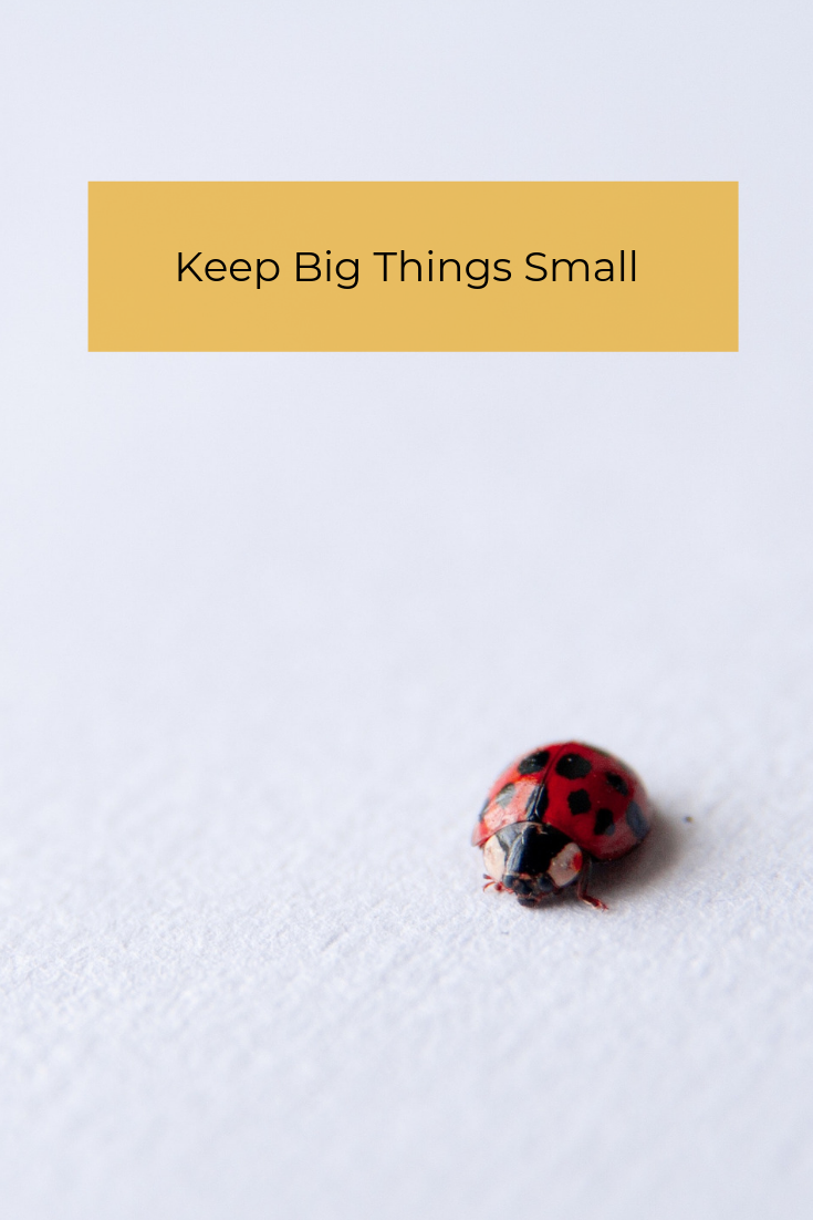 Too many big things overwhelm and sidetrack us. It is time to keep big things small and do what matters most in our life and work.
