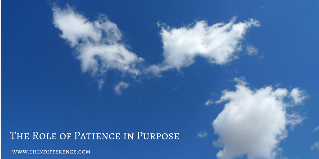 The Role of Patience in Purpose